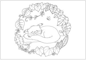 Bearcat colouring page